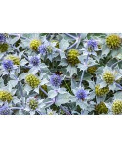 Konfiguration benutzen