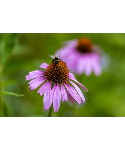 Konfiguration benutzen