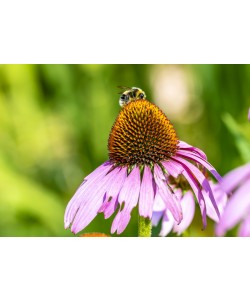 Konfiguration benutzen