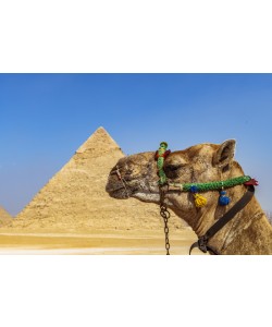 Konfiguration benutzen