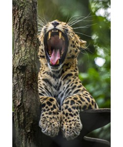 Konfiguration benutzen