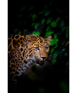 Konfiguration benutzen