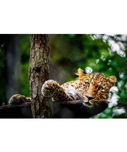 Konfiguration benutzen