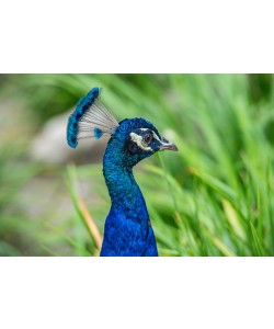 Konfiguration benutzen