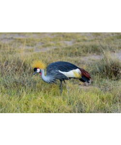 Konfiguration benutzen