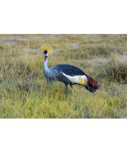 Konfiguration benutzen