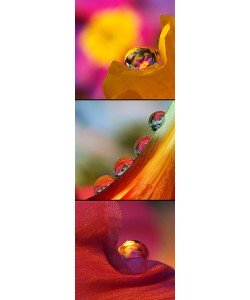 Dagmar Laimgruber, Jeux des Boules II