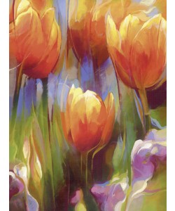 Janusz Remi, Orange Tulpen 1