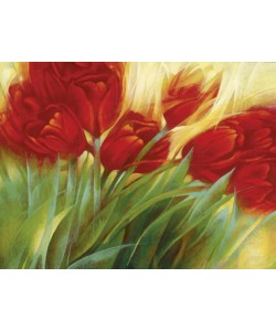 Janusz Remi, Rote Tulpen 1