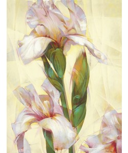 Janusz Remi, Iris