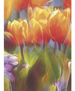 Janusz Remi, Orange Tulpen 2