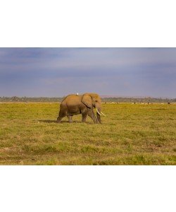 Konfiguration benutzen