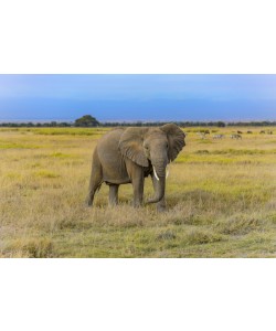 Konfiguration benutzen