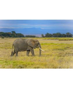 Konfiguration benutzen