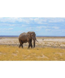 Konfiguration benutzen