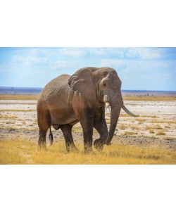 Konfiguration benutzen