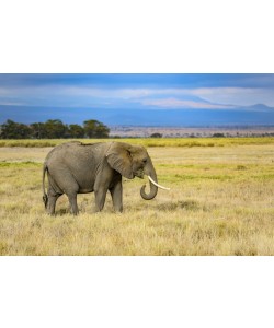 Konfiguration benutzen