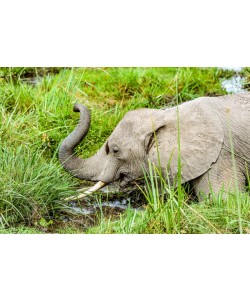 Konfiguration benutzen