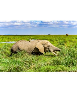 Konfiguration benutzen