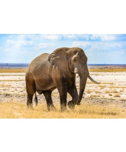 Konfiguration benutzen