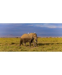 Konfiguration benutzen