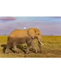 Konfiguration benutzen