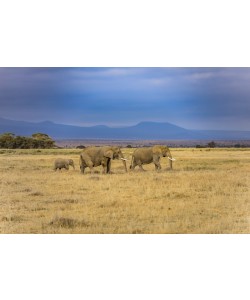 Konfiguration benutzen