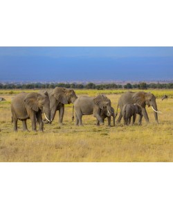 Konfiguration benutzen