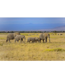 Konfiguration benutzen