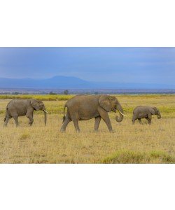 Konfiguration benutzen