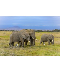 Konfiguration benutzen