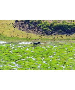 Konfiguration benutzen