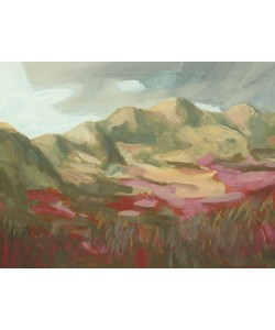 Enno Franzius, Dünen Amrum 1