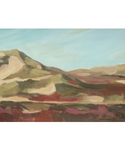 Enno Franzius, Dünen Amrum 2