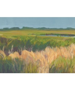 Enno Franzius, Wiese Zingst 1