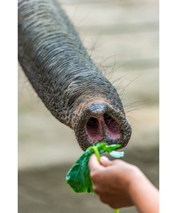 Konfiguration benutzen