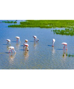 Konfiguration benutzen