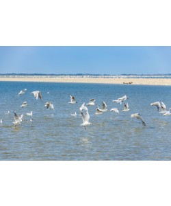 Konfiguration benutzen