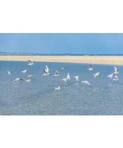 Konfiguration benutzen