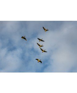 Konfiguration benutzen