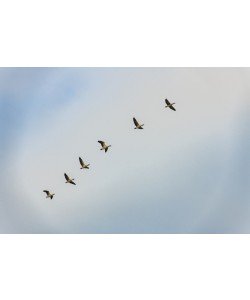 Konfiguration benutzen