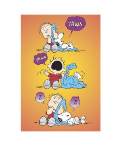 Peanuts, Linus & Snoopy, blanket