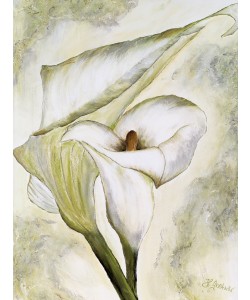 Heidi Gerstner, Weiße Calla