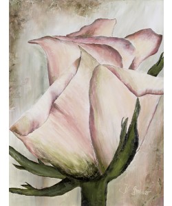 Heidi Gerstner, Rose in Altrosa