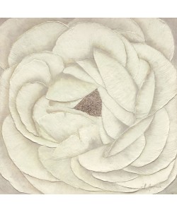 Heidi Gerstner, Rose sepia