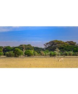 Konfiguration benutzen