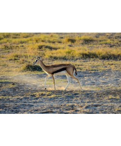 Konfiguration benutzen