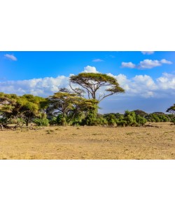 Konfiguration benutzen