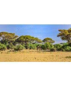 Konfiguration benutzen