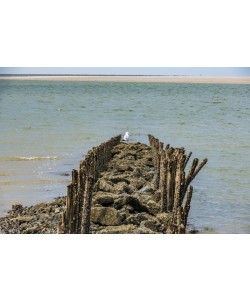 Konfiguration benutzen